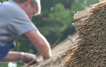 professional Danygraig thatchers